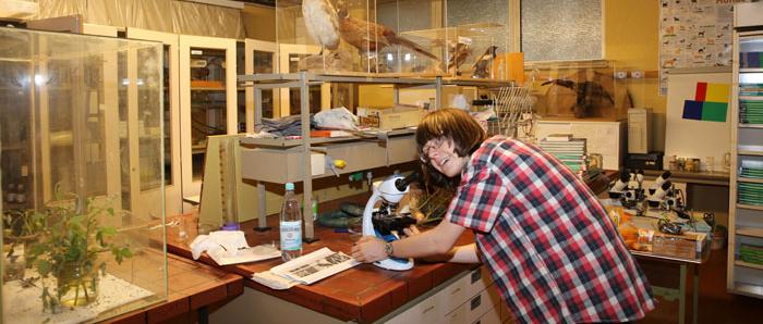 bundessieger biologie st. angela erzbistum schule jugend forscht