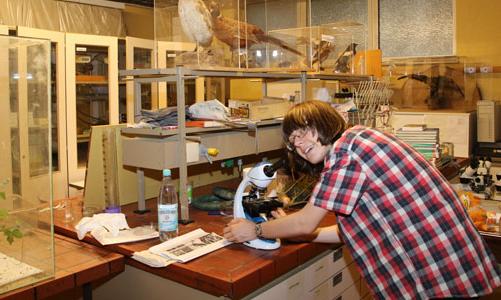 bundessieger biologie st. angela erzbistum schule jugend forscht