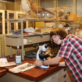 bundessieger biologie st. angela erzbistum schule jugend forscht