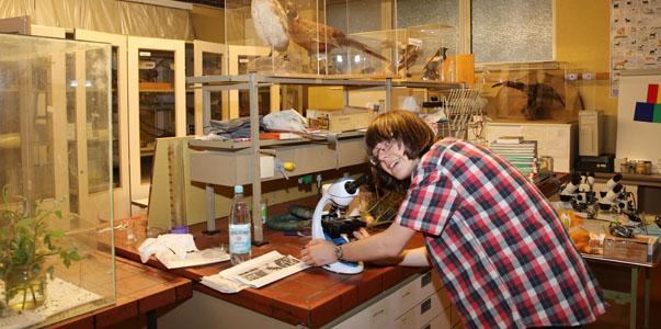 bundessieger biologie st. angela erzbistum schule jugend forscht