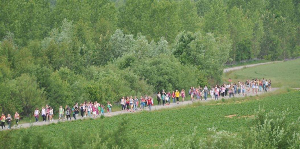 Aktionen für Schulen und Schulgemeinden