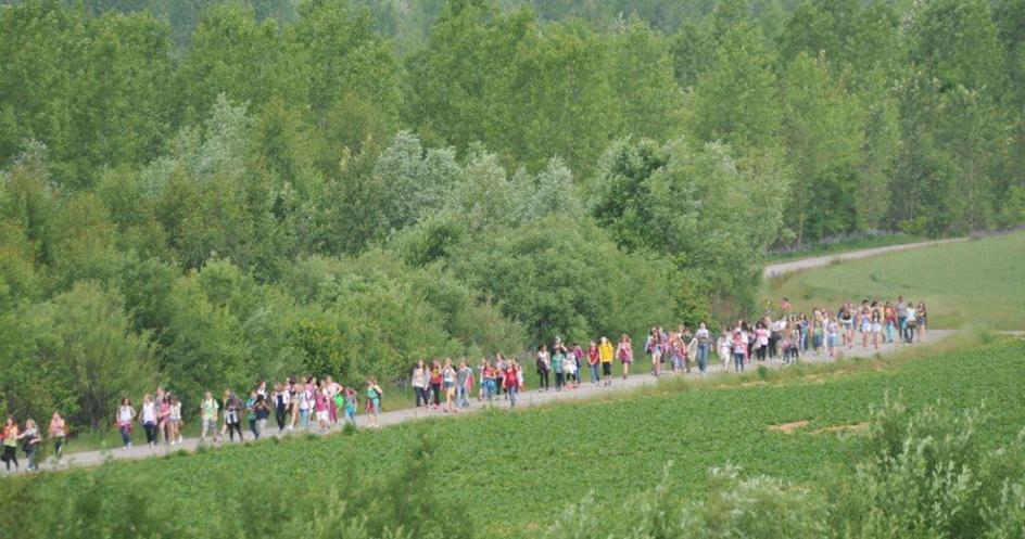 Aktionen für Schulen und Schulgemeinden