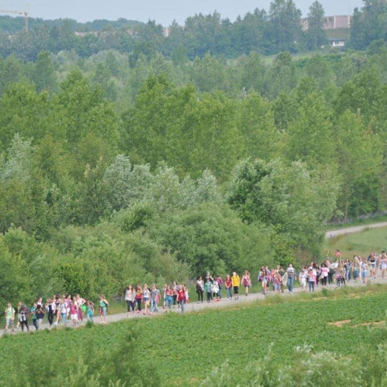 Aktionen für Schulen und Schulgemeinden