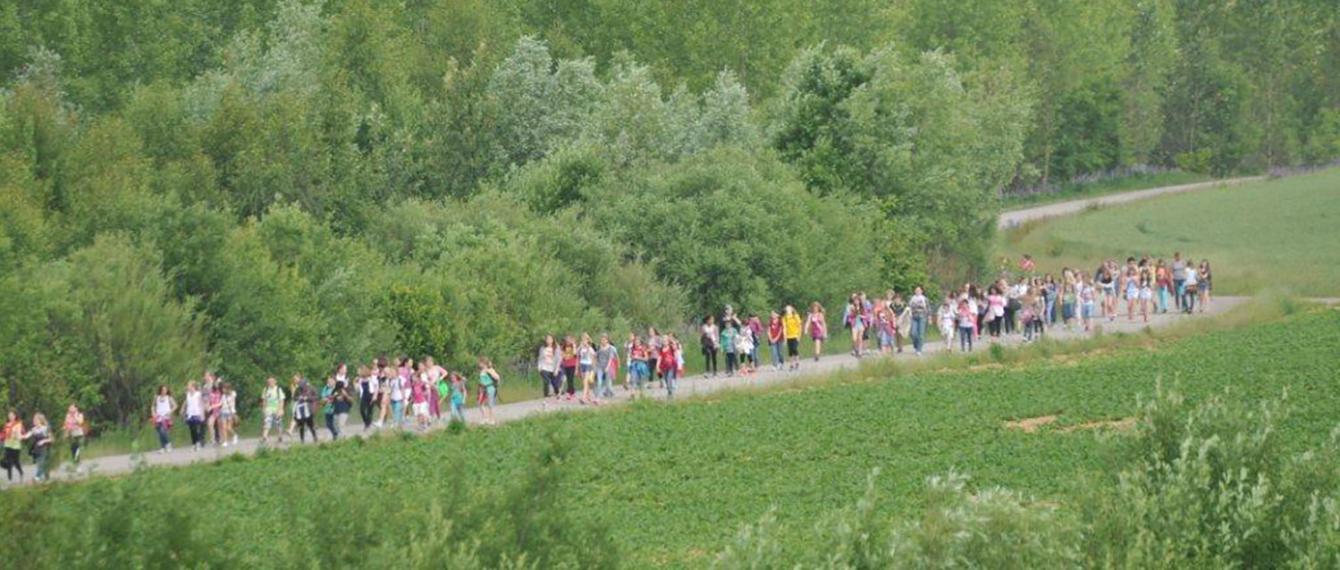 Aktionen für Schulen und Schulgemeinden