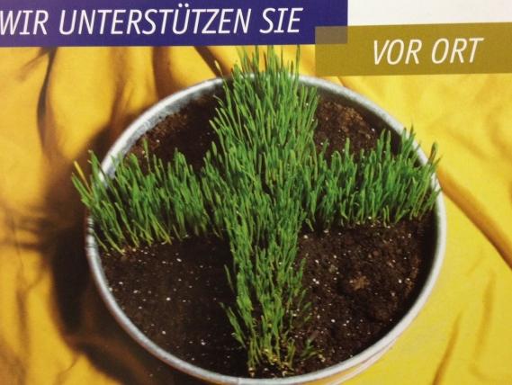 u vor ort 640 428