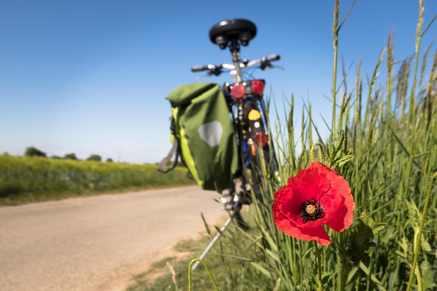 Fahrradtour_by Didgeman_pixabay_pfarrbriefservice