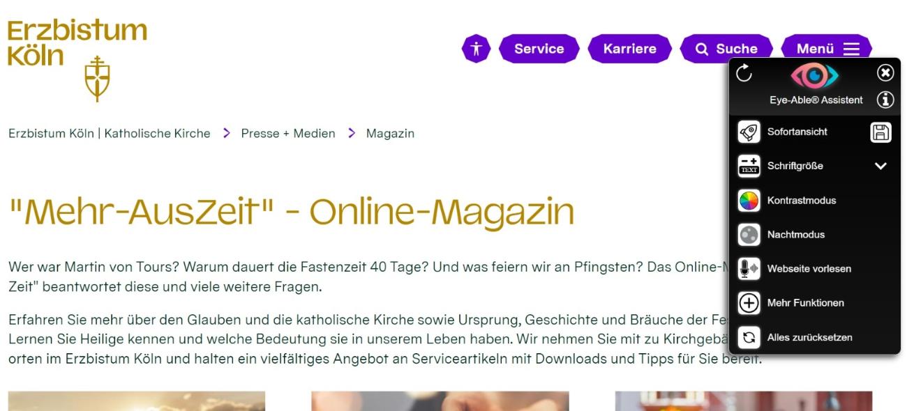 Screenshot einer OpenCms-Seite im Redaktionssystem mit eingeblendetem Eye-Able-Tool