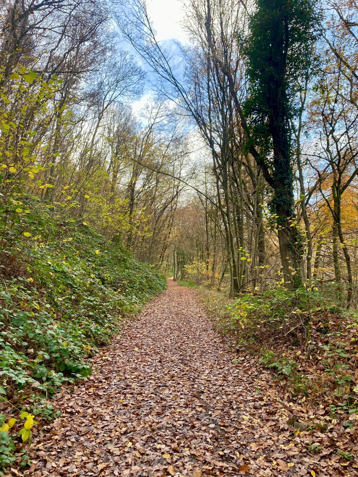 Impression entlang des Weges