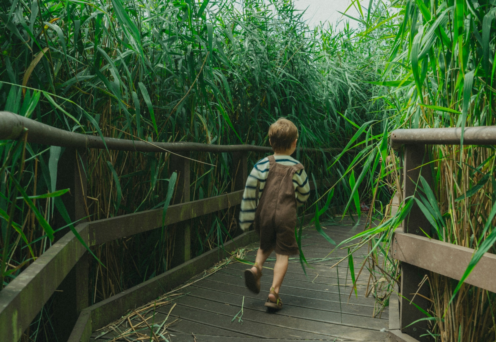 Die Natur durch dankbare Kinderaugen sehen (Symbolbild)