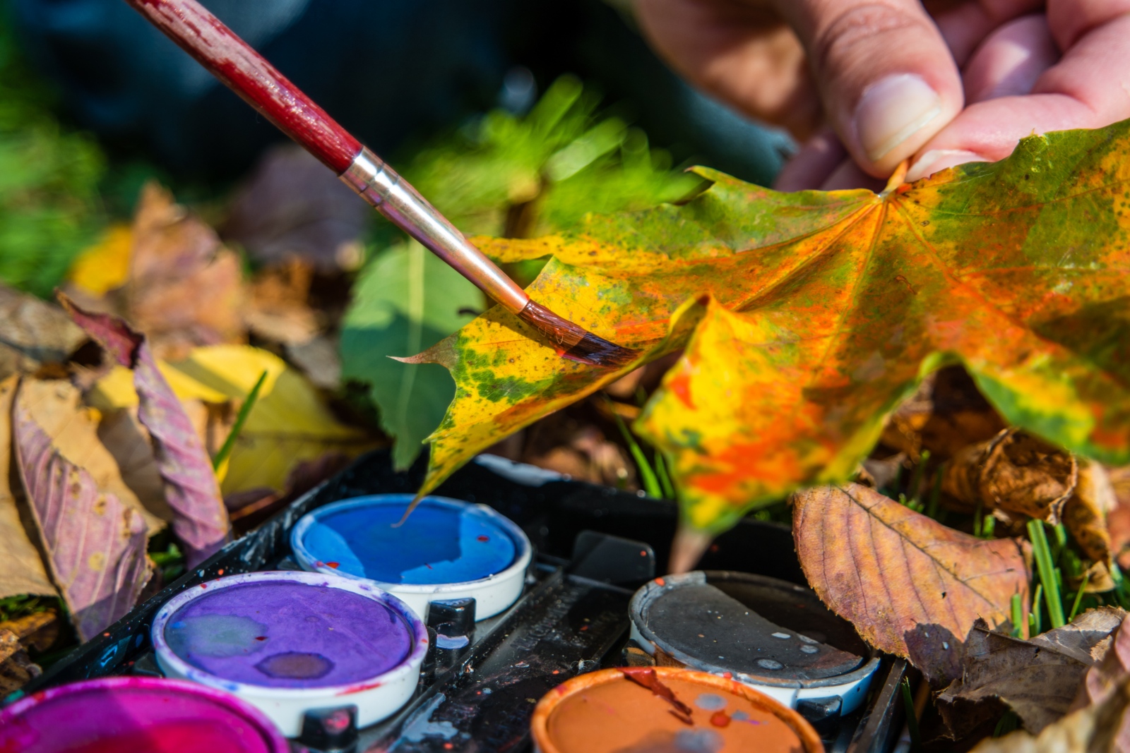 Herbstmalen (Symbolbild)