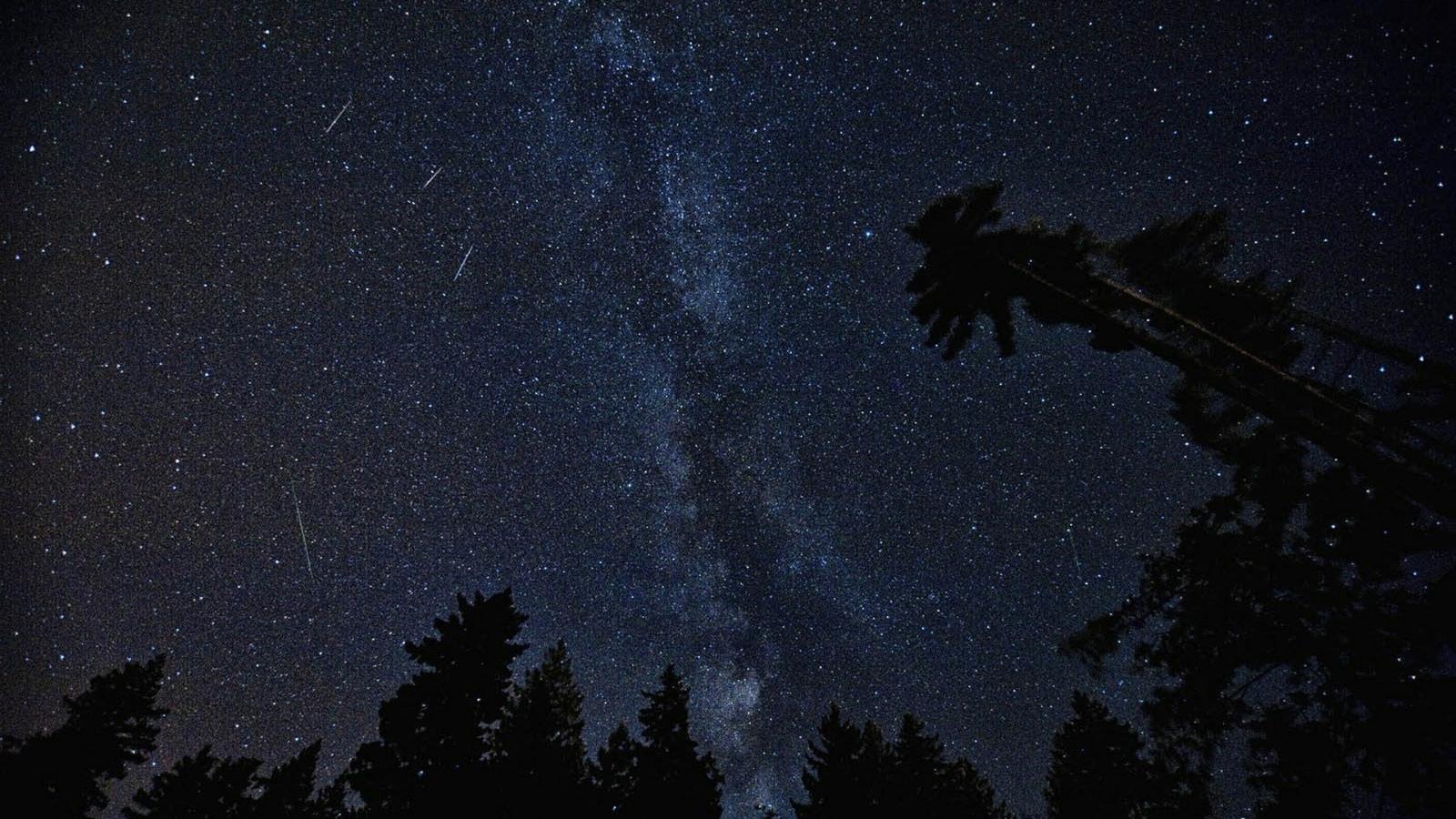 Sternschnuppen ziehen während der Perseiden am Nachthimmel vorbei.