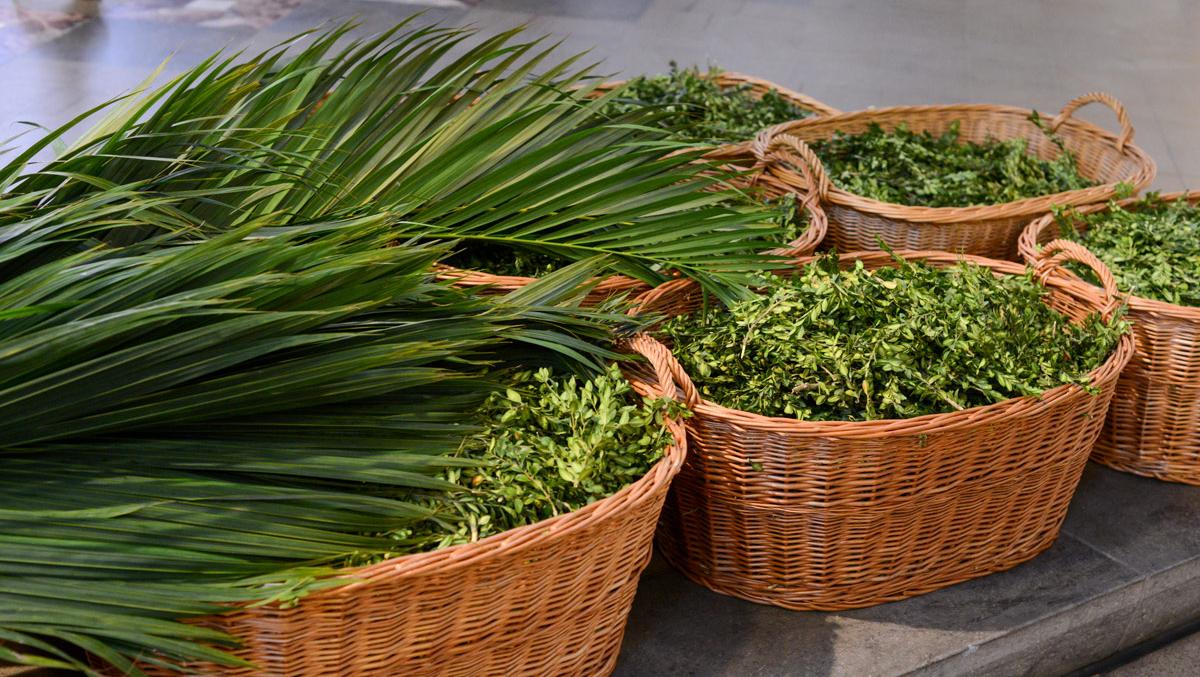 Palmzweige am Palmsonntag