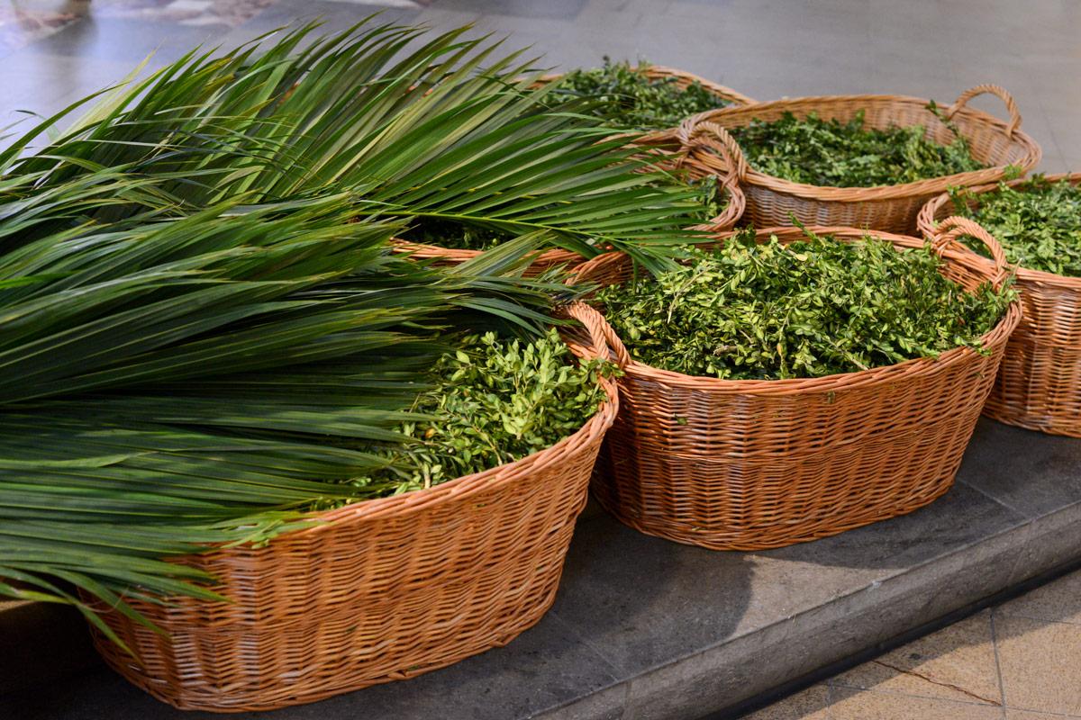 Palmzweige am Palmsonntag