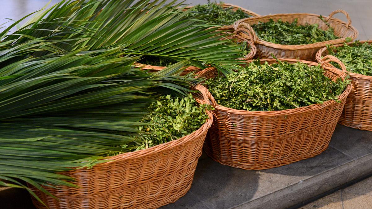 Palmzweige am Palmsonntag