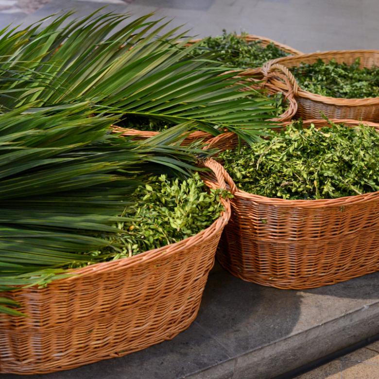 Palmzweige am Palmsonntag