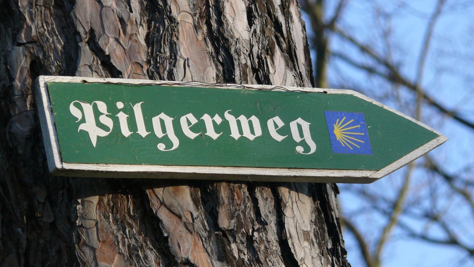 Grünes Pilgerweg-Schild mit gelber Jakobsmuschel an einem Baum.