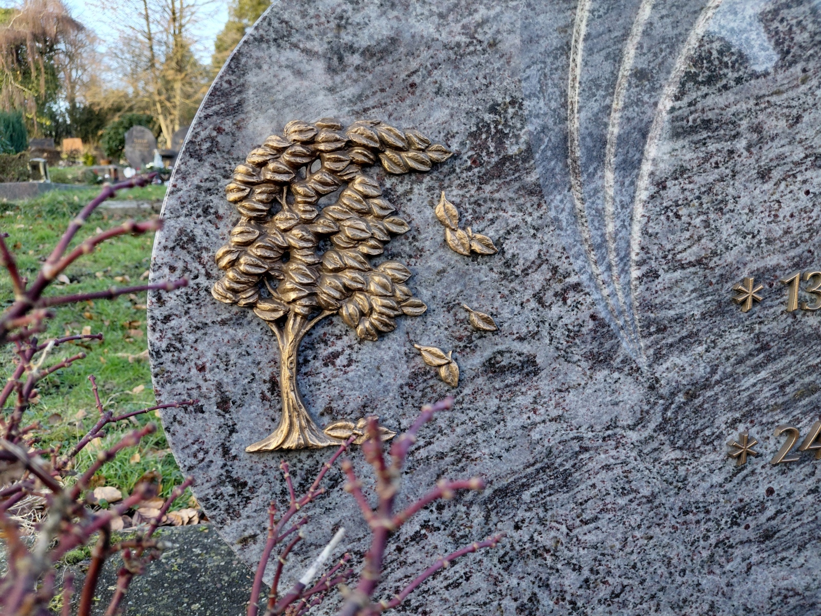Bild von einem Grabstein auf dem ein Baummotiv ist