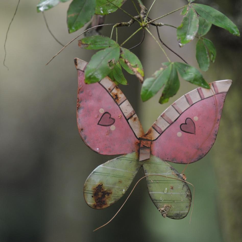 Bild von einem Schmetterling auf dem Melatenfriedhof