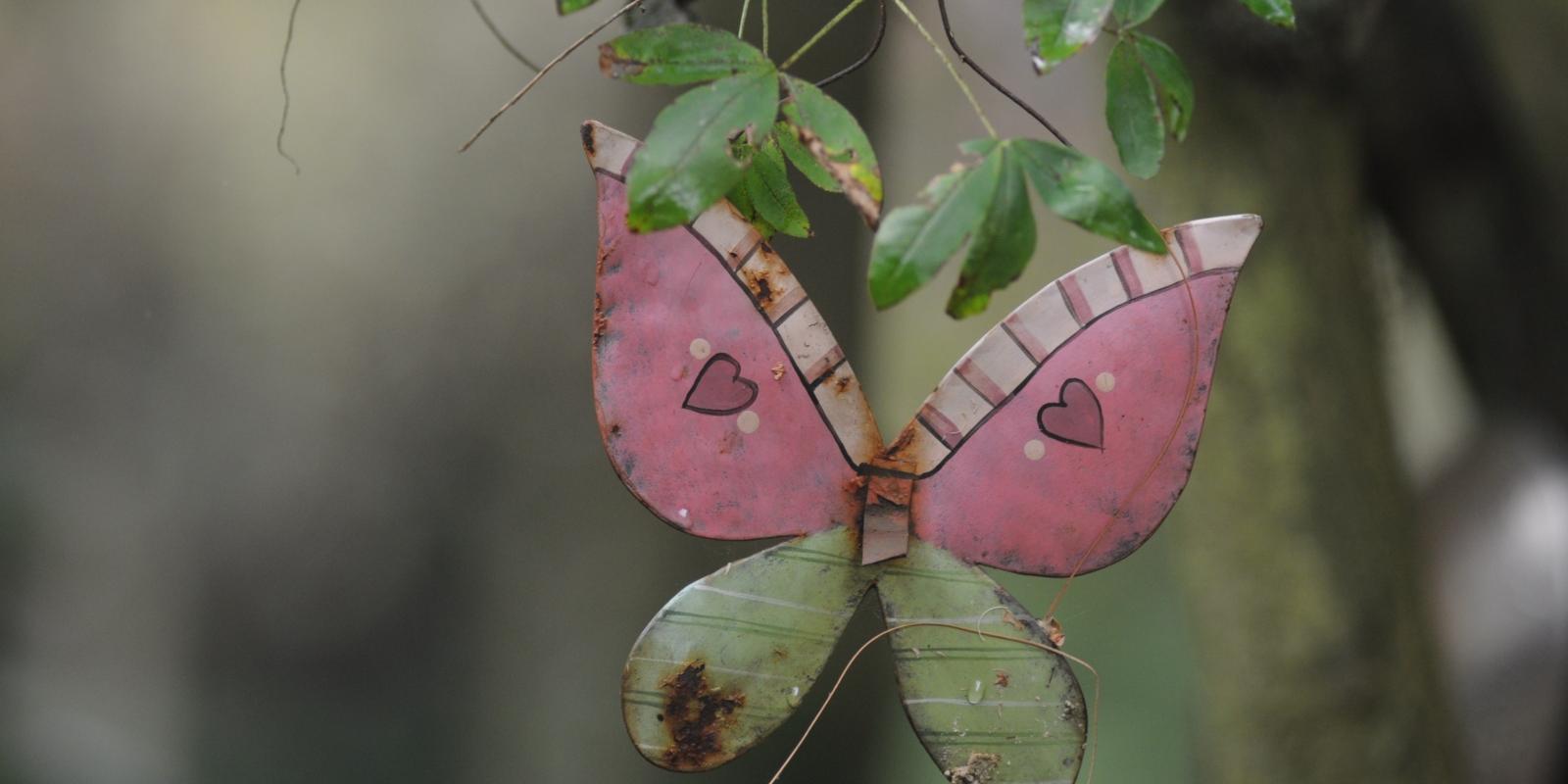 Bild von einem Schmetterling auf dem Melatenfriedhof