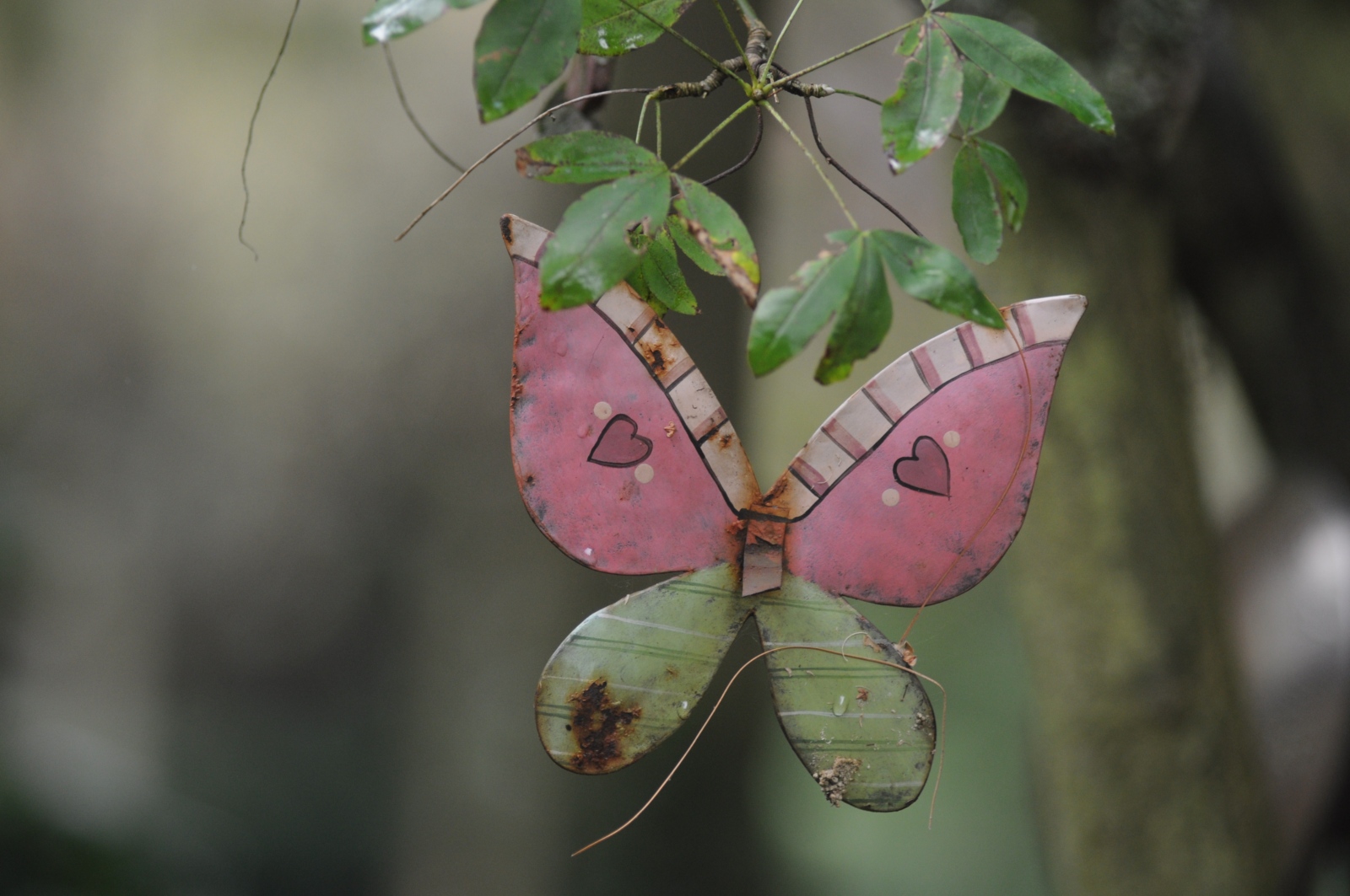 Bild von einem Schmetterling auf dem Melatenfriedhof