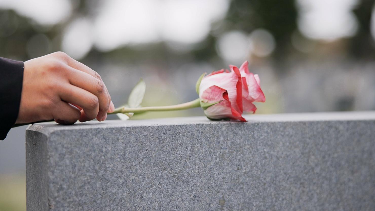 Ein Mensch legt eine Rose auf einen Grabstein