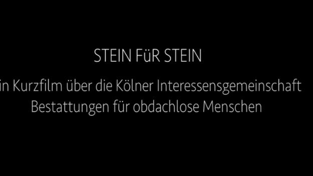 Steinfu?rStein