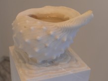 Christliche Symbole Muschel