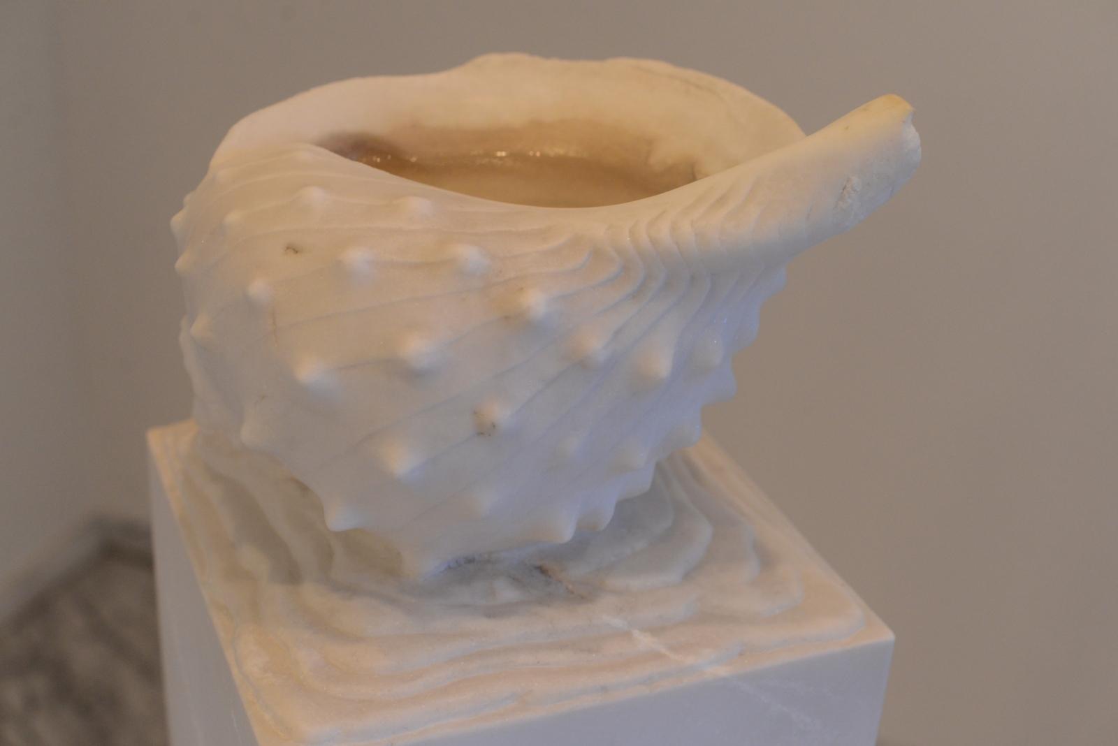 Tomasetti Beatrice Muschel