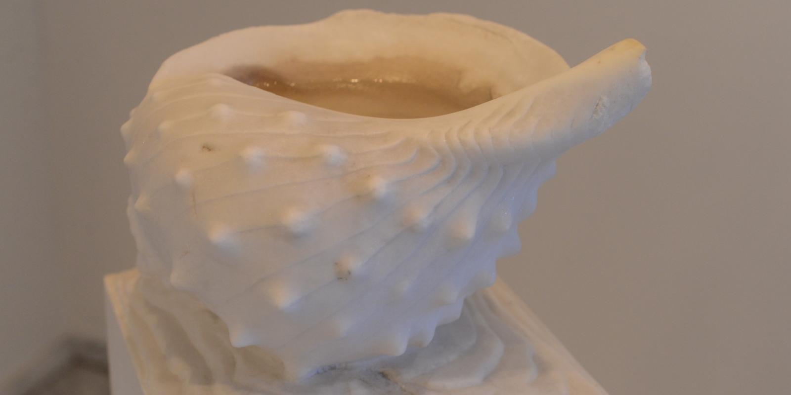 Tomasetti Beatrice Muschel