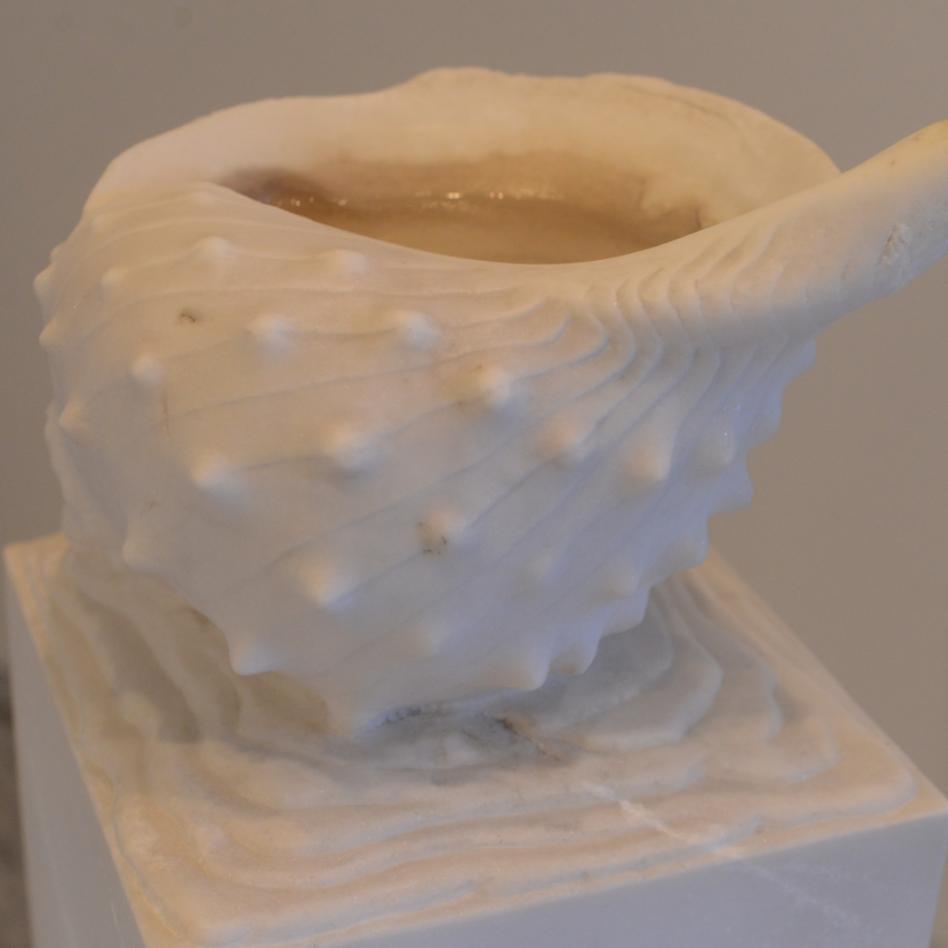 Tomasetti Beatrice Muschel