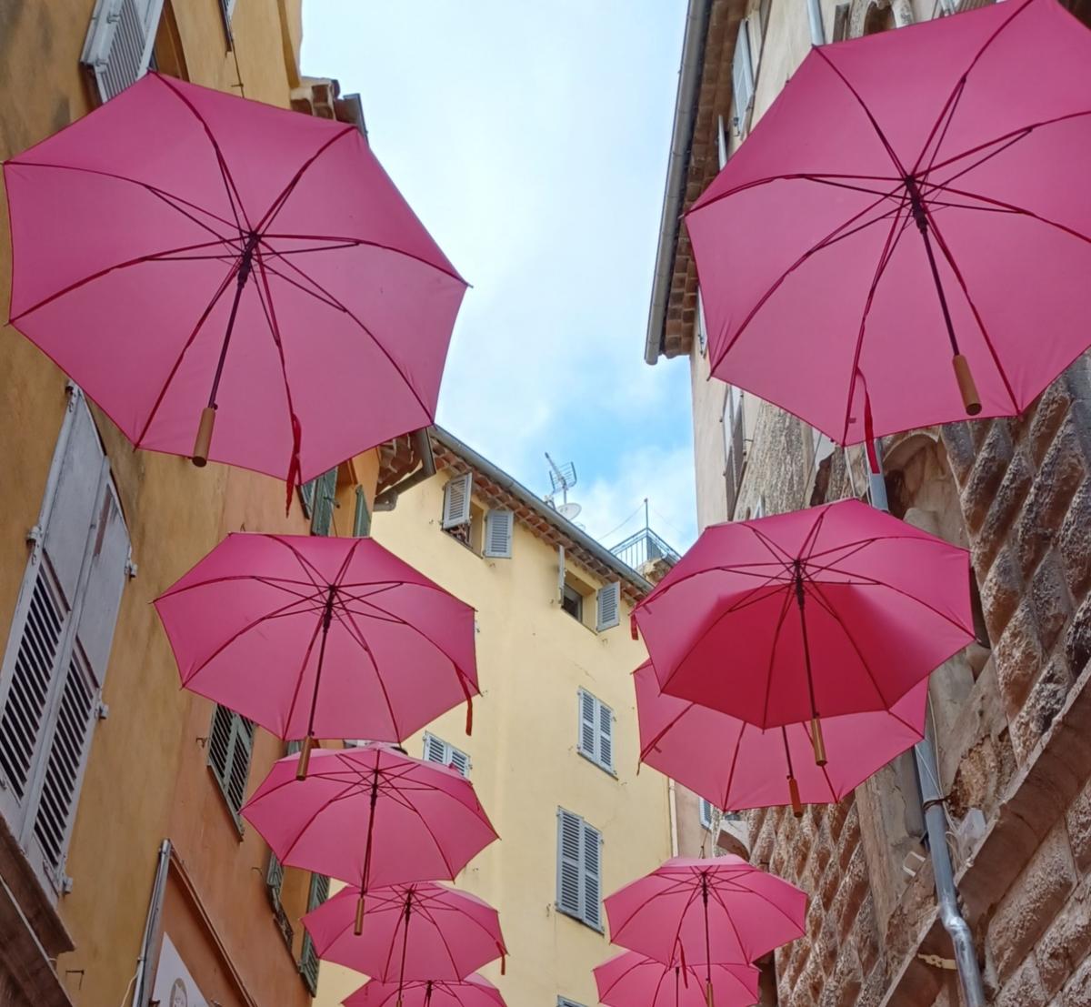 Violette Regenschirme