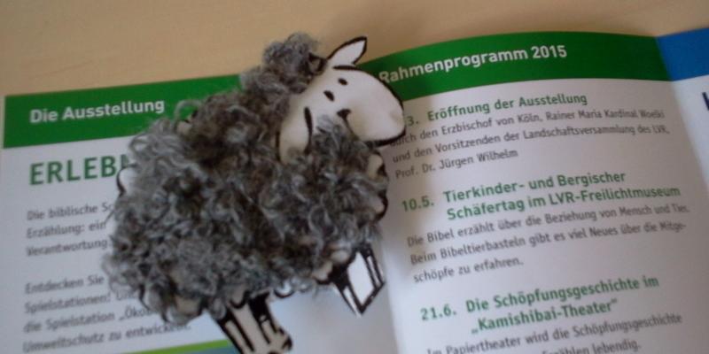 Tierkindertag_Schaf