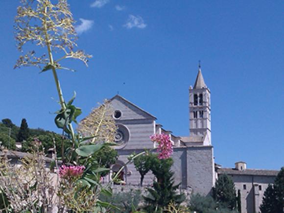 Assisi, Header