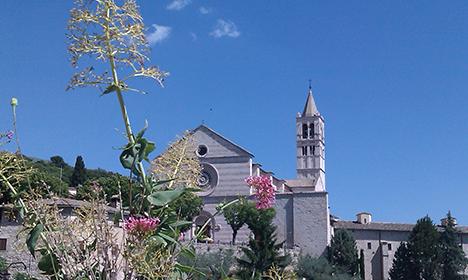 Assisi, Header