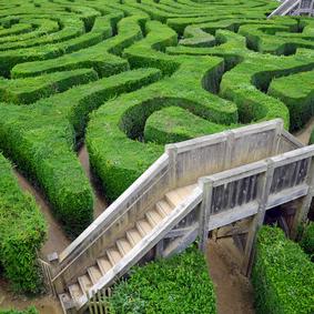 Labyrinth-Fotolia_51119750_XS