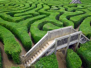 Labyrinth-Fotolia_51119750_XS