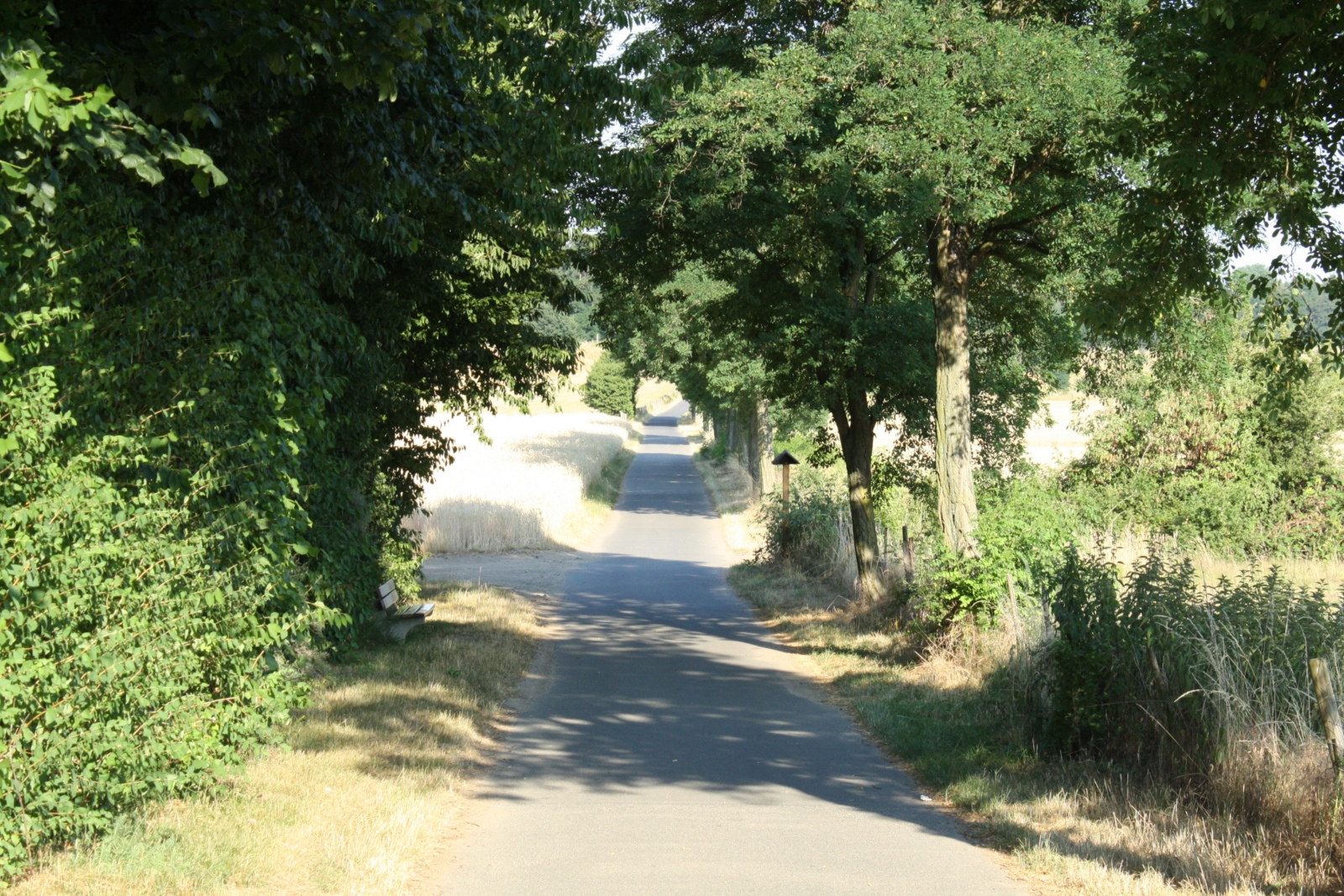 Weg mit Schatten