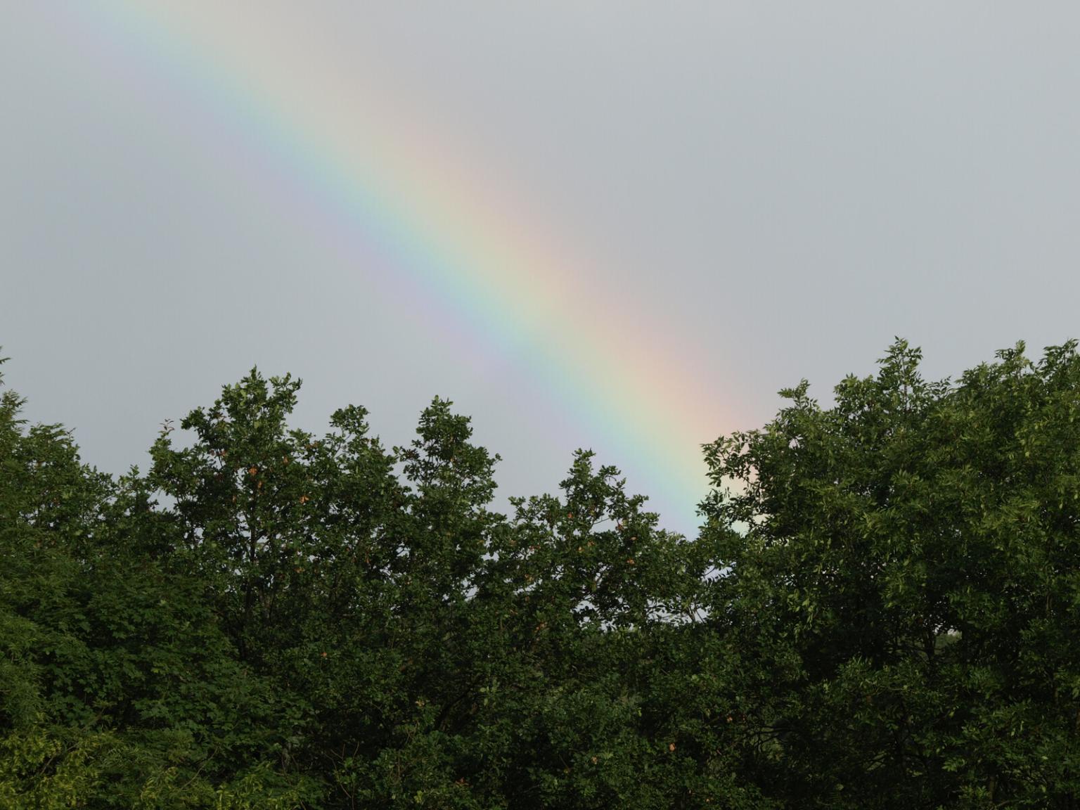 Regenbogen
