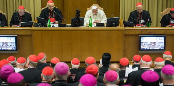 Familiensynode 2014 mit Papst Franziskus