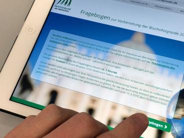 fragebogen