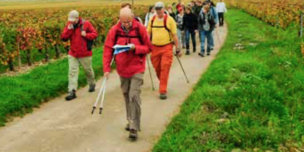 Bildschirmfoto 2025-09-03 um 10.26.14