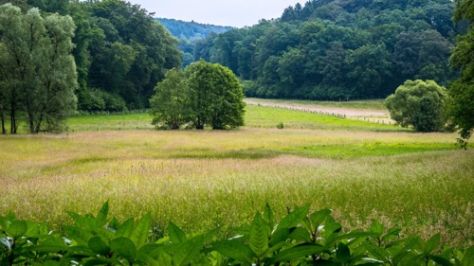 wandern in nrw_W&P