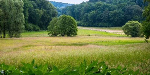 wandern in nrw_W&P