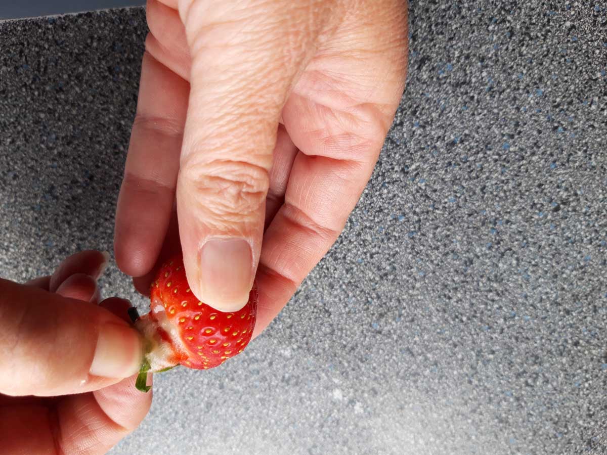 Erdbeer-Spieße