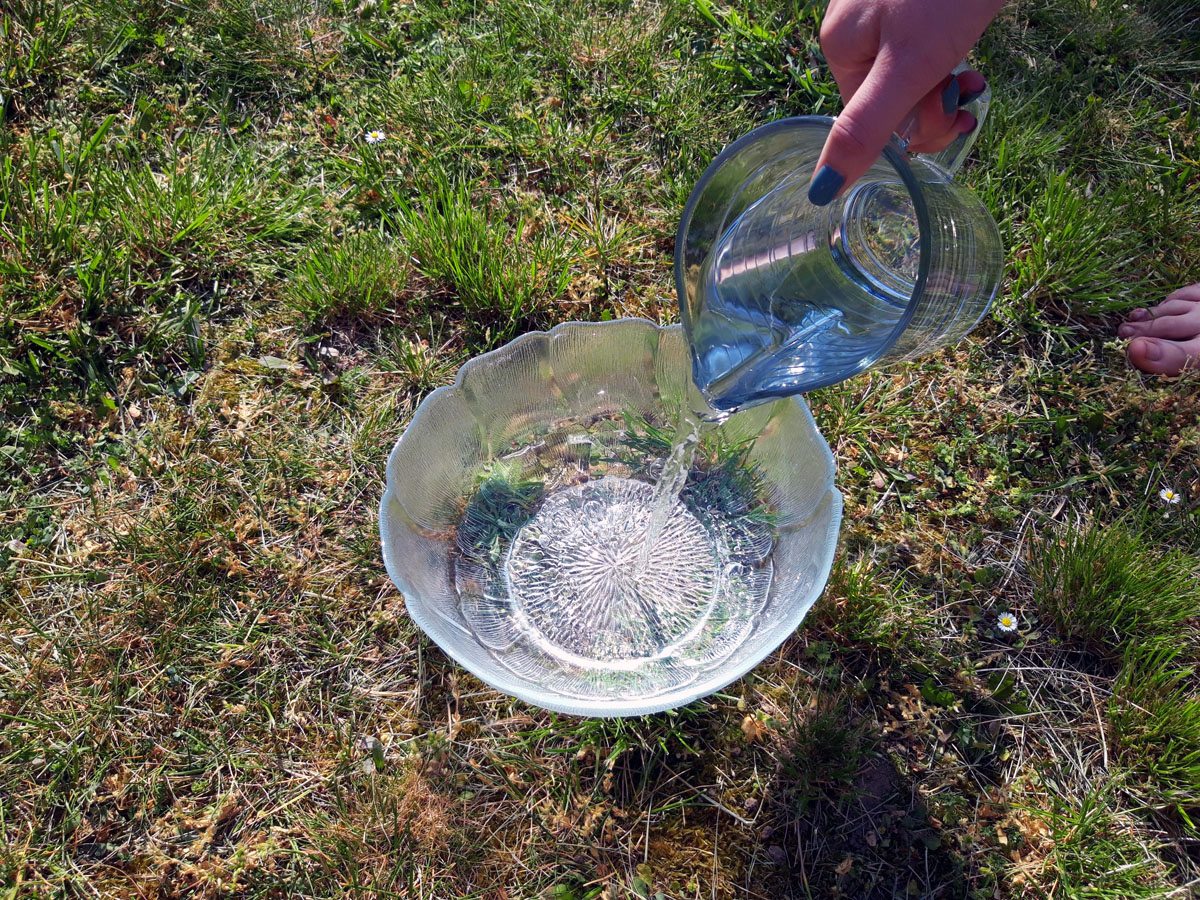 Wasserwettlauf mit Schwämmen