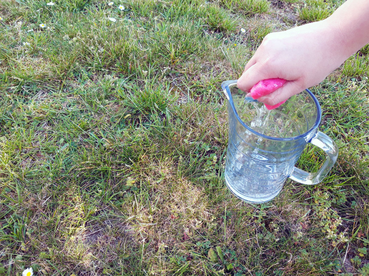 Wasserwettlauf mit Schwämmen