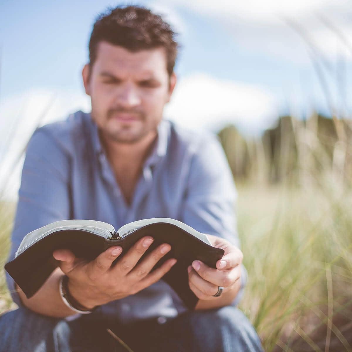 Mann mit Buch in einer Wiese (c) CC0 1.0 - Public Domain (von unsplash.com) Mann mit Buch in einer Wiese